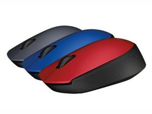 mouse